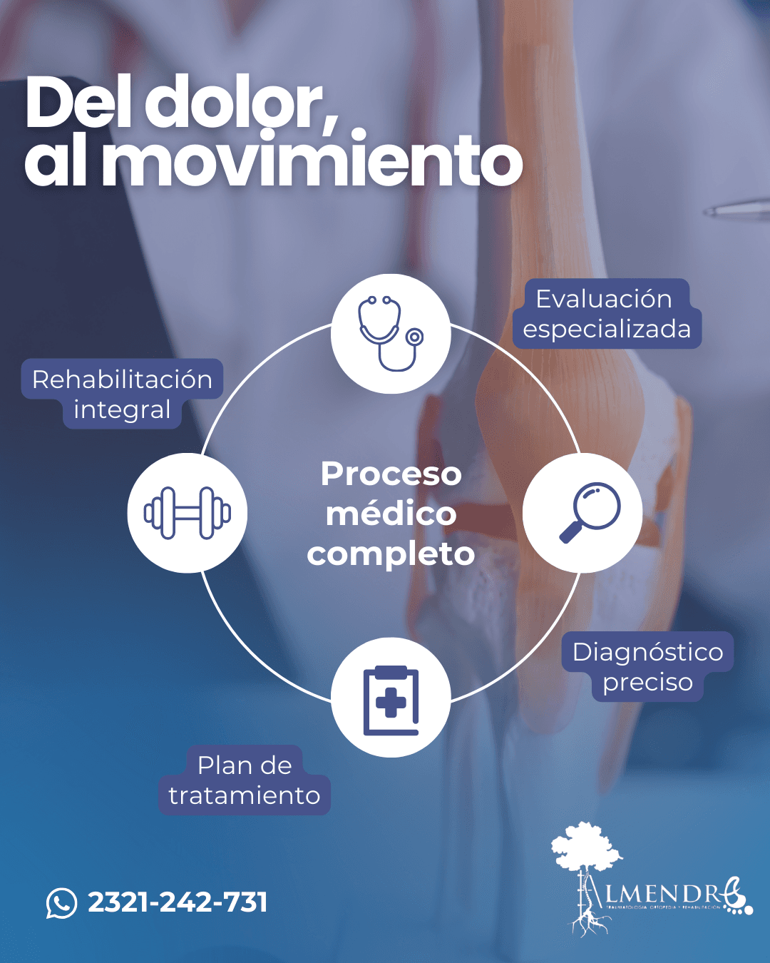 Gestión Estratégica 3 - Caso de Éxito en Social Media por Lariza Ochoa AI Marketing